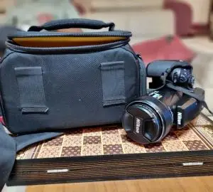 stock