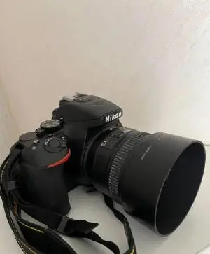 stock