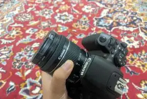 stock