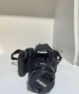 stock
