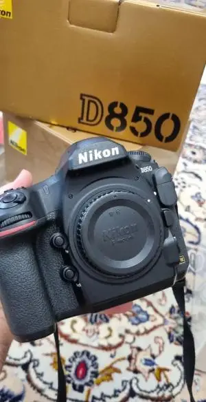 stock