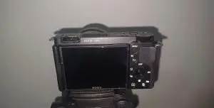 stock