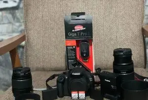 stock
