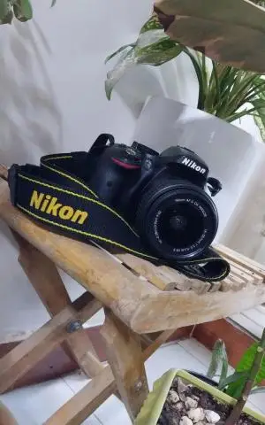 stock