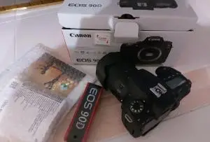 stock