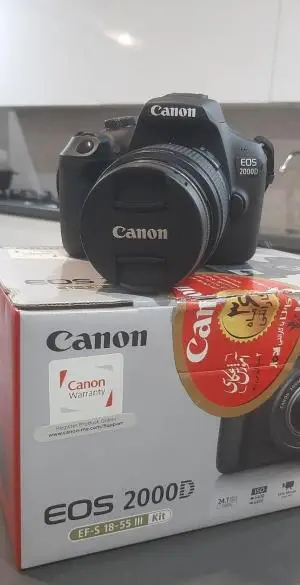 stock