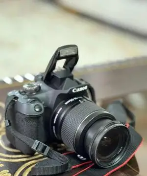 stock