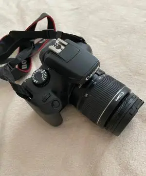 stock