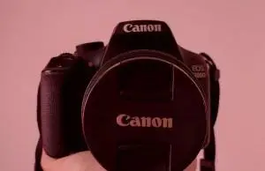 stock