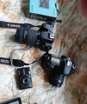 stock