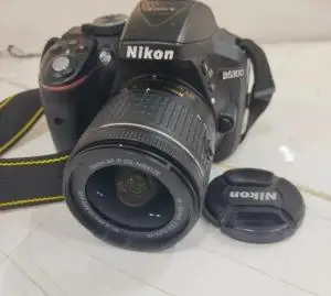 stock
