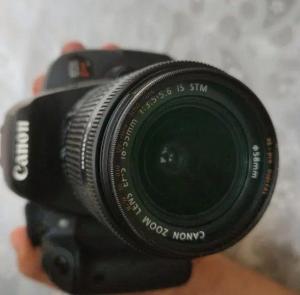 stock