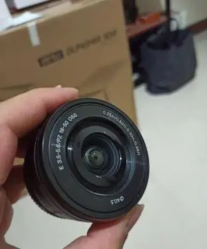 stock