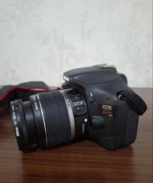 stock