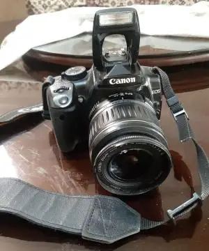 stock