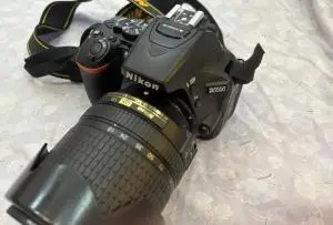 stock