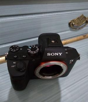 stock