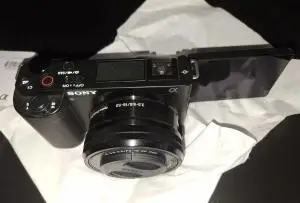 stock