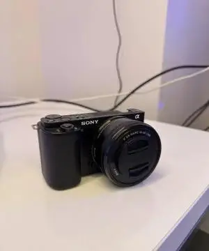 stock