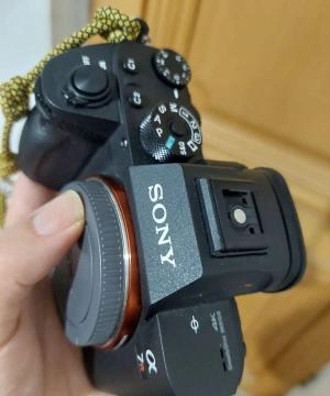 stock