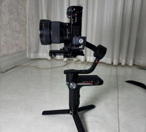 stock