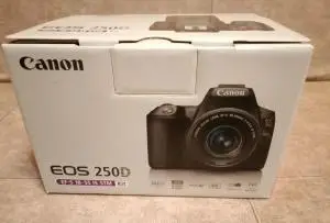 stock
