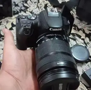 stock