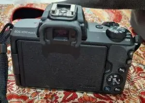 stock