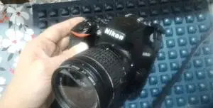 stock