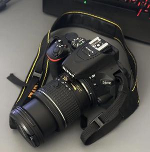 stock