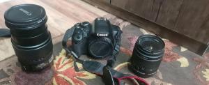 stock