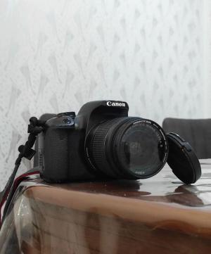 stock