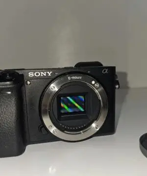 stock