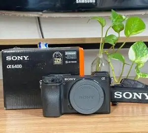 stock