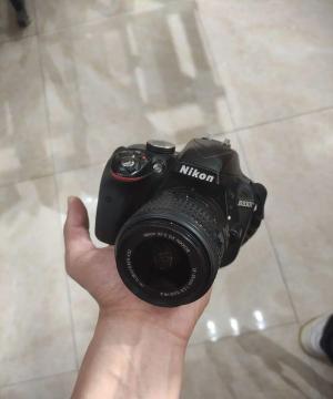 stock