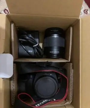 stock