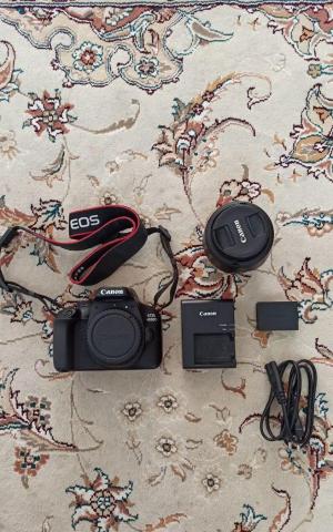 stock
