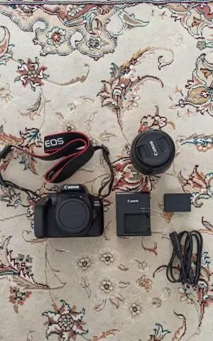 stock