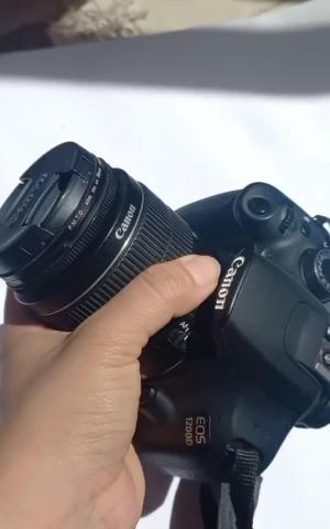 stock