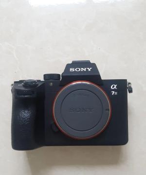 stock