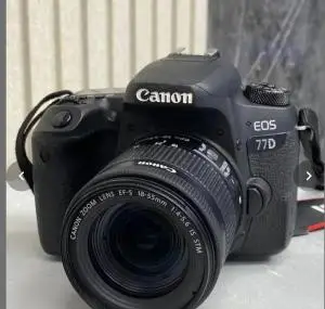 stock