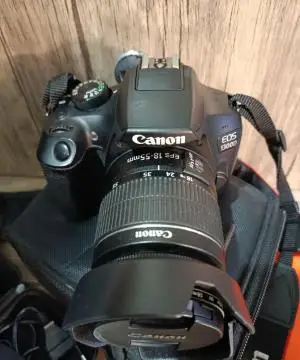 stock