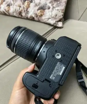 stock