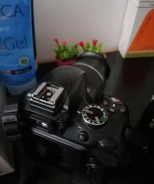 stock