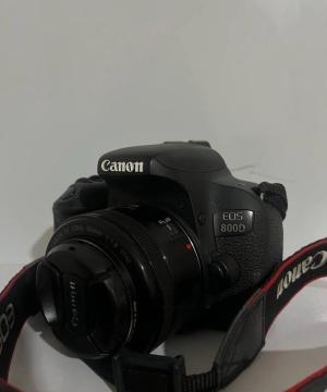stock