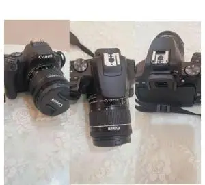 stock