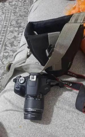 stock