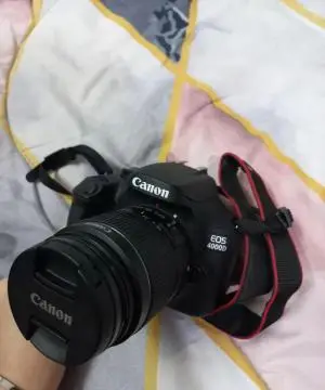 stock