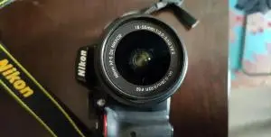 stock