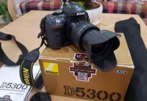 stock